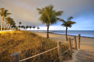 Dania Beach Elevator